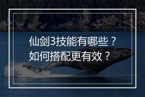 仙剑3技能有哪些?如何搭配更有效?