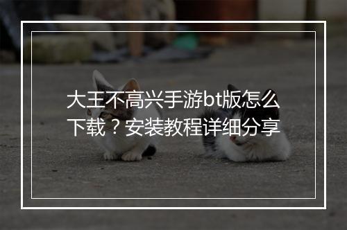 大王不高兴手游bt版怎么下载？安装教程详细分享
