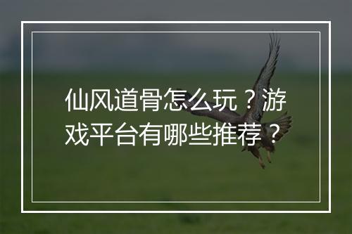 仙风道骨怎么玩?游戏平台有哪些推荐?