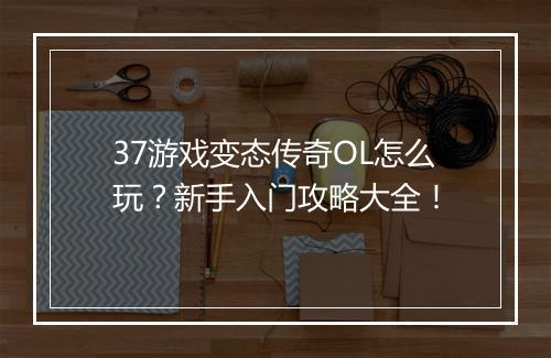 37游戏变态传奇OL怎么玩？新手入门攻略大全！