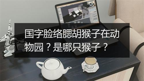 国字脸络腮胡猴子在动物园?是哪只猴子?