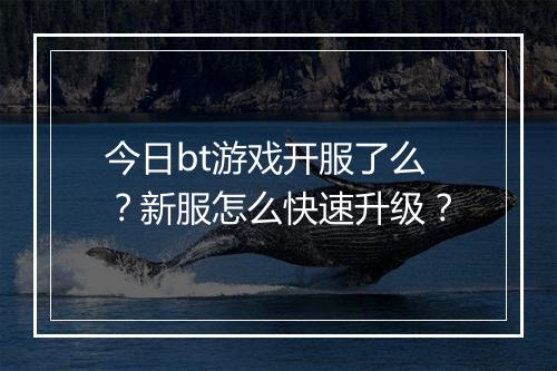 今日bt游戏开服了么？新服怎么快速升级？