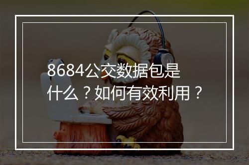 8684公交数据包是什么？如何有效利用？