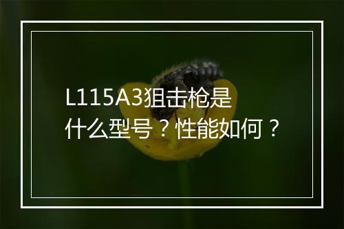 L115A3狙击枪是什么型号?性能如何?