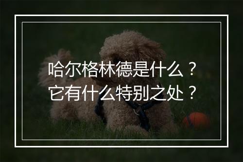 哈尔格林德是什么？它有什么特别之处？