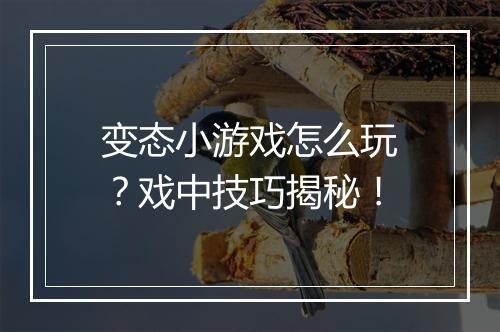 变态小游戏怎么玩?戏中技巧揭秘!