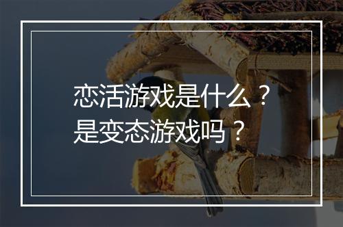 恋活游戏是什么？是变态游戏吗？