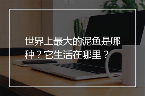 世界上最大的泥鱼是哪种？它生活在哪里？