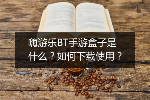 嗨游乐BT手游盒子是什么？如何下载使用？