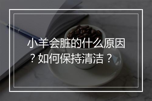 小羊会脏的什么原因？如何保持清洁？