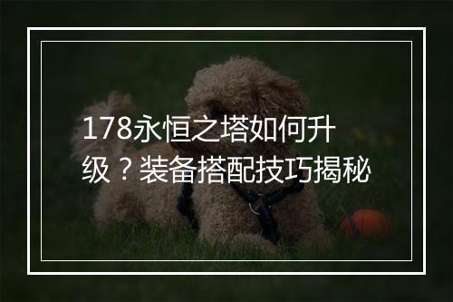 178永恒之塔如何升级？装备搭配技巧揭秘