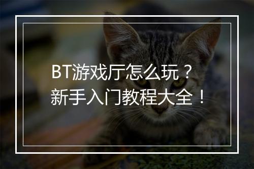 BT游戏厅怎么玩？新手入门教程大全！
