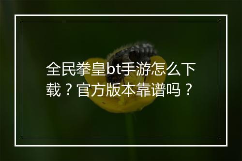 全民拳皇bt手游怎么下载？官方版本靠谱吗？