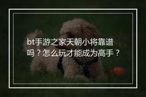 bt手游之家天朝小将靠谱吗？怎么玩才能成为高手？