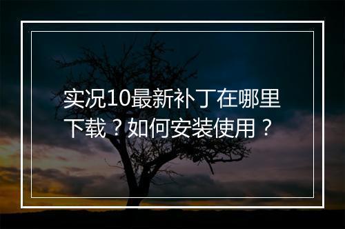 实况10最新补丁在哪里下载？如何安装使用？