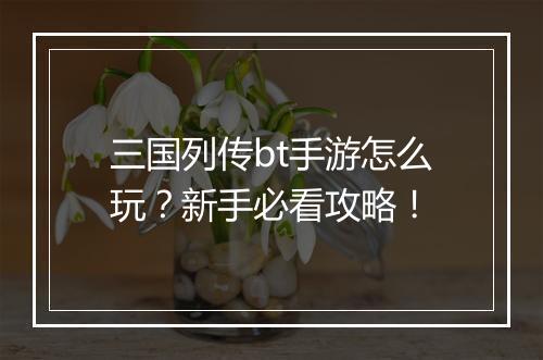 三国列传bt手游怎么玩？新手必看攻略！
