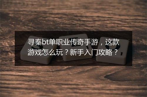 寻秦bt单职业传奇手游，这款游戏怎么玩？新手入门攻略？