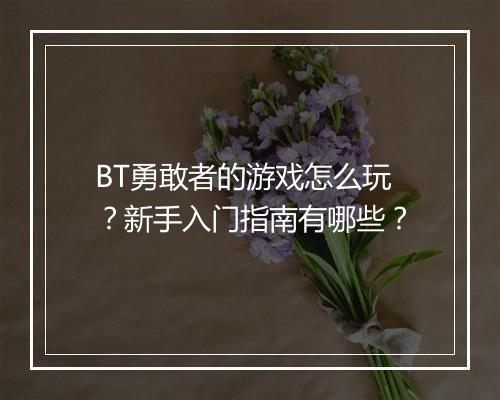 BT勇敢者的游戏怎么玩？新手入门指南有哪些？