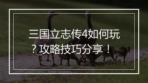 三国立志传4如何玩？攻略技巧分享！
