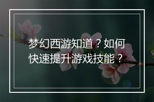 梦幻西游知道?如何快速提升游戏技能?