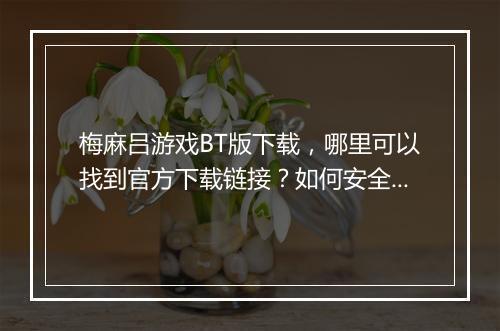 梅麻吕游戏BT版下载，哪里可以找到官方下载链接？如何安全下载？