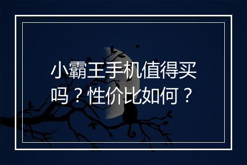 小霸王手机值得买吗？性价比如何？