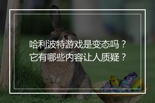 哈利波特游戏是变态吗？它有哪些内容让人质疑？