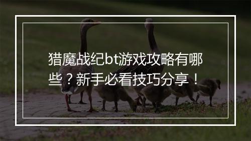 猎魔战纪bt游戏攻略有哪些？新手必看技巧分享！