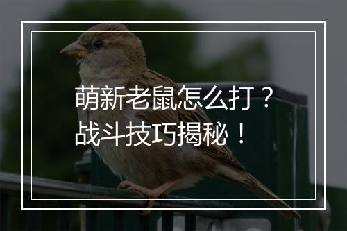 萌新老鼠怎么打？战斗技巧揭秘！