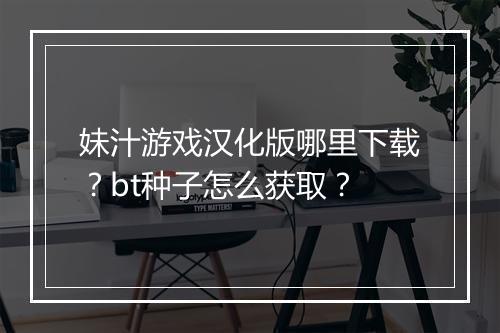 妹汁游戏汉化版哪里下载?bt种子怎么获取?