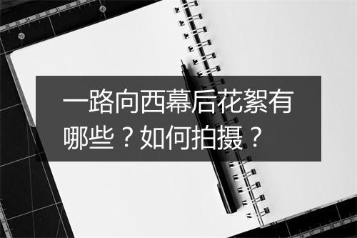 一路向西幕后花絮有哪些？如何拍摄？
