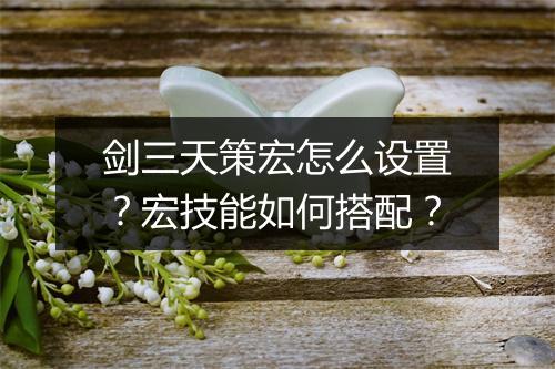 剑三天策宏怎么设置?宏技能如何搭配?