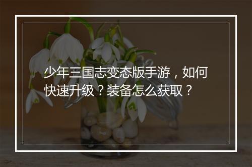 少年三国志变态版手游，如何快速升级？装备怎么获取？