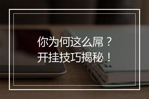 你为何这么屌?开挂技巧揭秘!