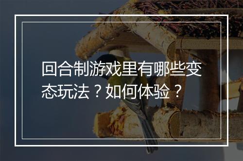 回合制游戏里有哪些变态玩法？如何体验？