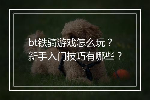 bt铁骑游戏怎么玩?新手入门技巧有哪些?
