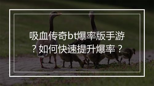 吸血传奇bt爆率版手游？如何快速提升爆率？