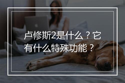卢修斯2是什么？它有什么特殊功能？