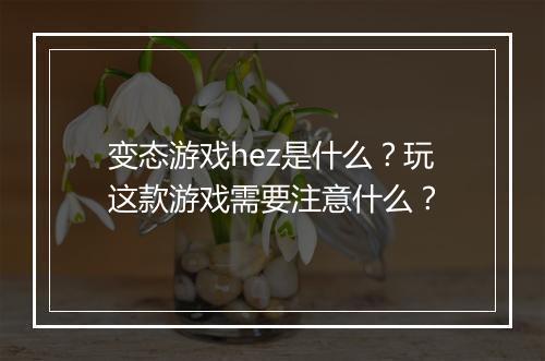 变态游戏hez是什么？玩这款游戏需要注意什么？