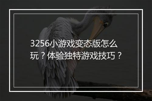3256小游戏变态版怎么玩?体验独特游戏技巧?