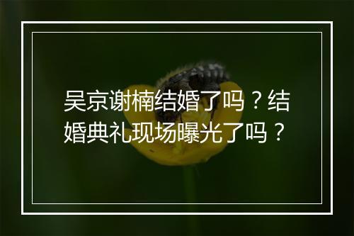 吴京谢楠结婚了吗？结婚典礼现场曝光了吗？