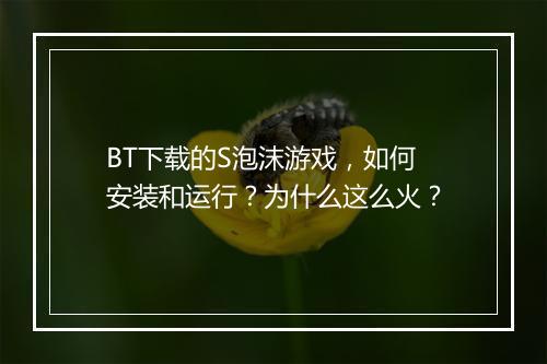 BT下载的S泡沫游戏,如何安装和运行?为什么这么火?