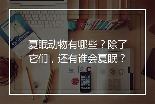 夏眠动物有哪些？除了它们，还有谁会夏眠？