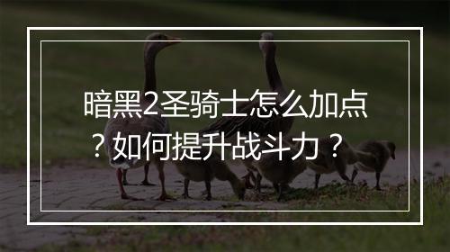 暗黑2圣骑士怎么加点？如何提升战斗力？