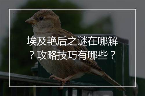 埃及艳后之谜在哪解？攻略技巧有哪些？