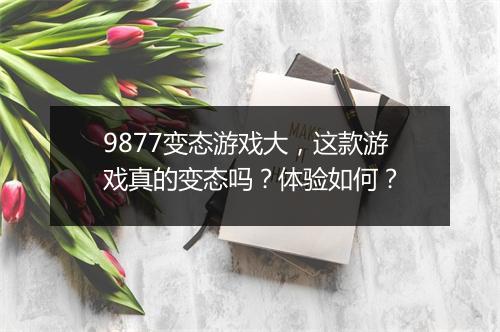 9877变态游戏大，这款游戏真的变态吗？体验如何？