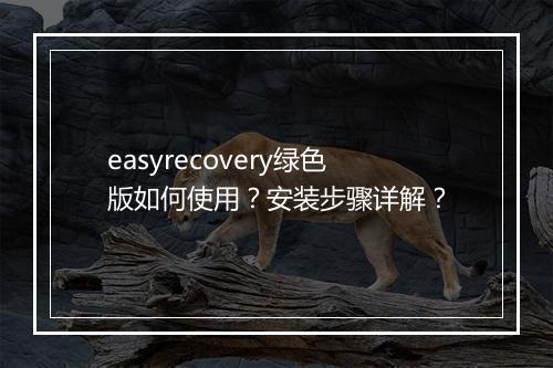 easyrecovery绿色版如何使用？安装步骤详解？