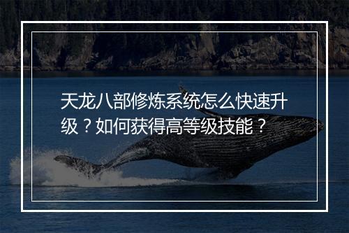 天龙八部修炼系统怎么快速升级？如何获得高等级技能？