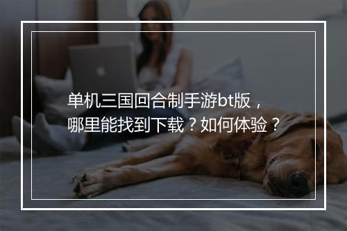 单机三国回合制手游bt版，哪里能找到下载？如何体验？