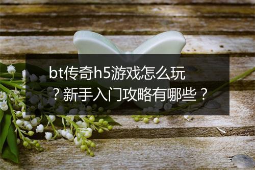 bt传奇h5游戏怎么玩？新手入门攻略有哪些？